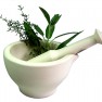 http://www.sxc.hu/photo/638177